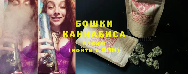 прущий лед Бородино