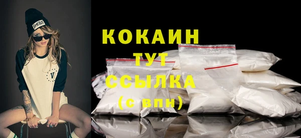 прущий лед Бородино