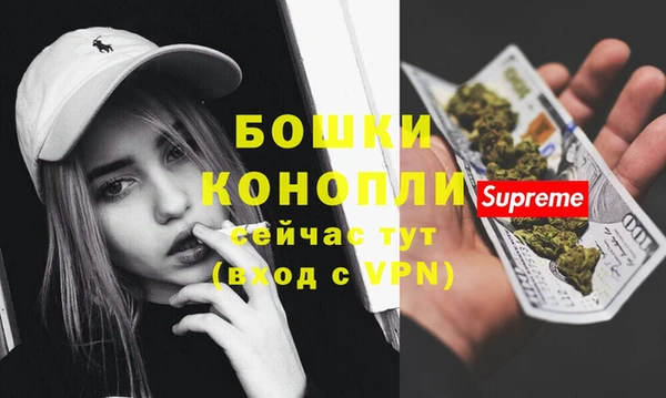 прущий лед Бородино