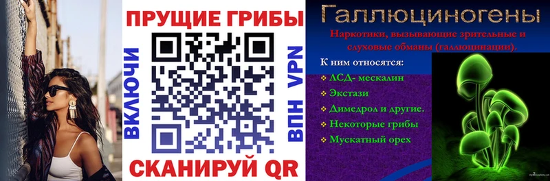 Галлюциногенные грибы прущие грибы  Пересвет 